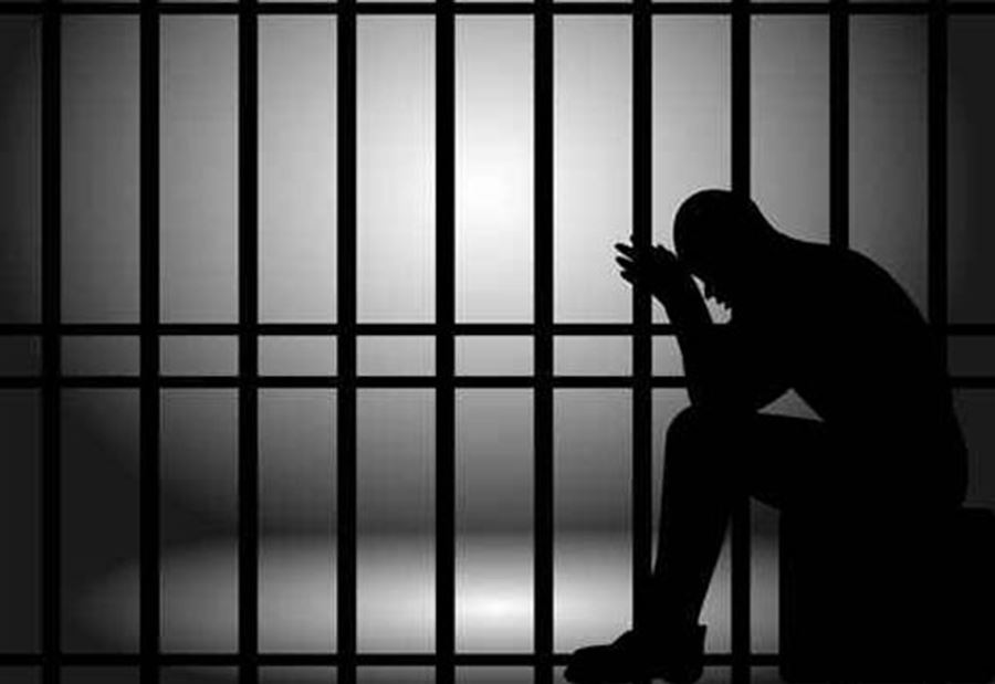 سمسار الخدمات القضائية الى نظارة العدلية سمسار الخدمات القضائية الى نظارة العدلية