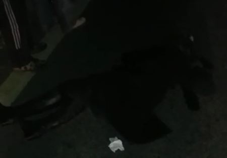 شابة تلقى حتفها صدماً.. في بعلبك