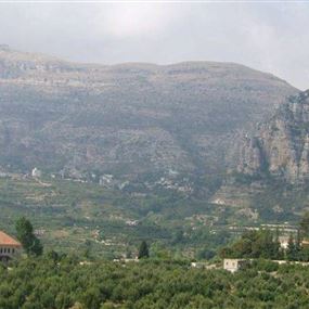 مختار يزور ويغادر بلدته مختار يزور ويغادر بلدته