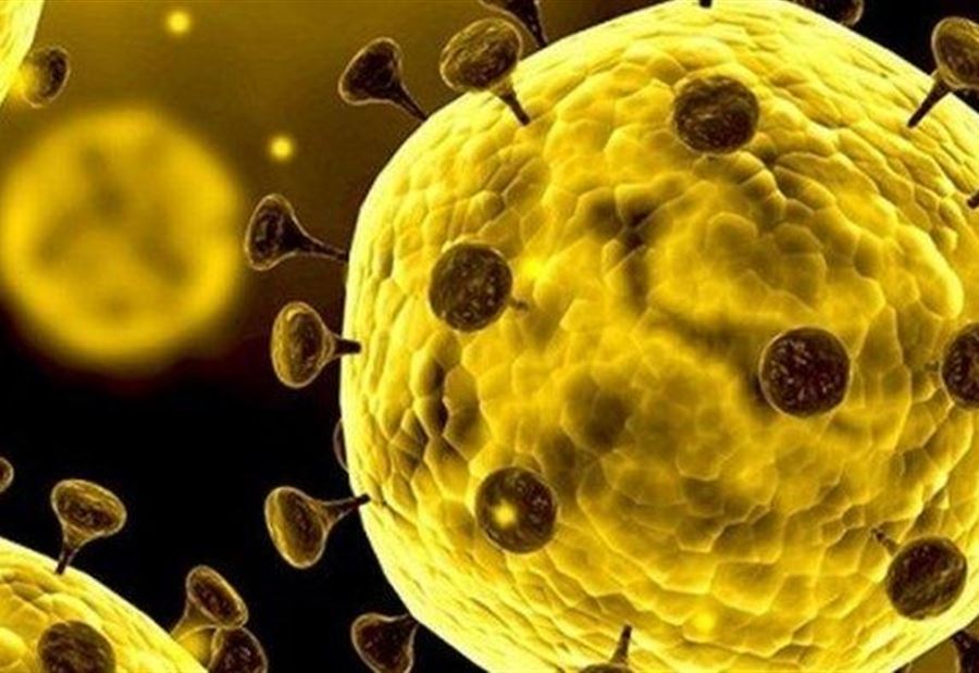 أكتشافٌ بالغُ الأهميَّةِ قد يُبشِّر بعلاجٍ للفيروس الصيني القاتل!  