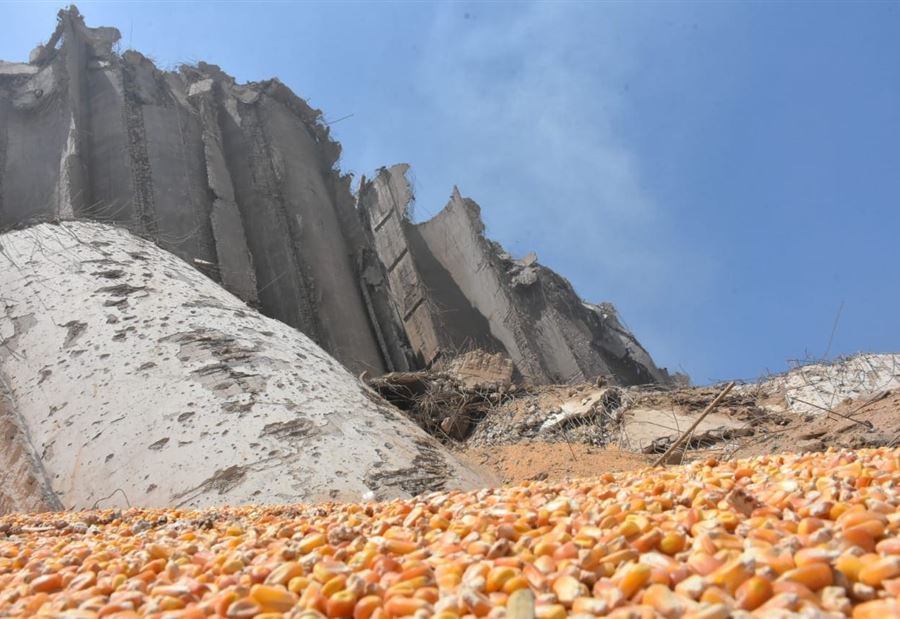 شهيدان جديدان تحت الأنقاض  شهيدان جديدان تحت الأنقاض
