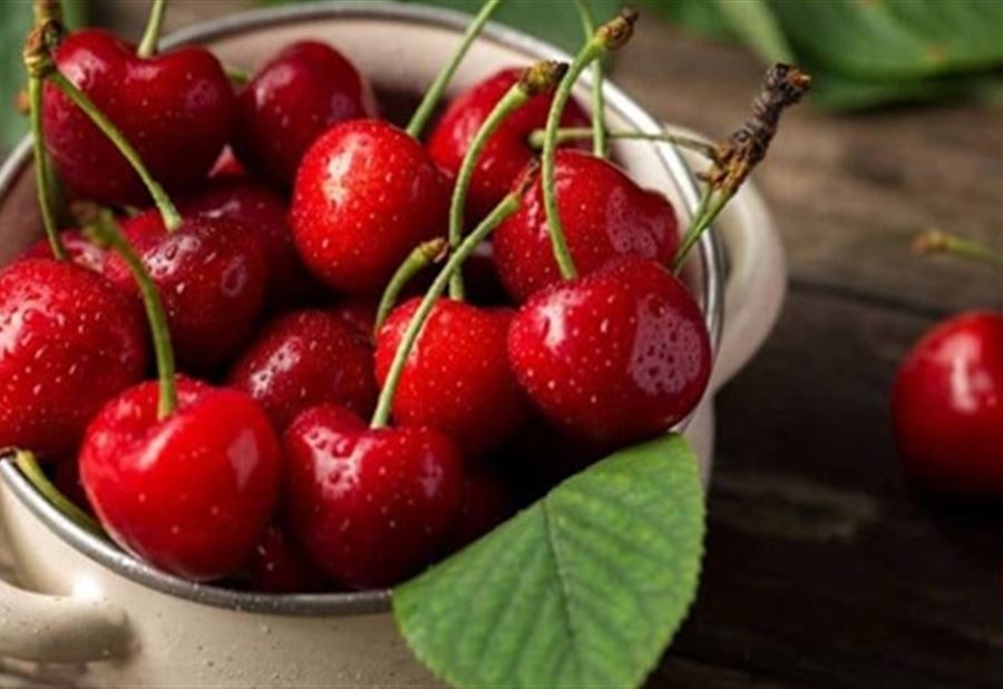 فوائد "مذهلة" للكرز.. لا تخطر على البال فوائد "مذهلة" للكرز.. لا تخطر على البال