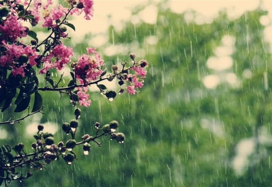 طقس نهاية الاسبوع ماطر!