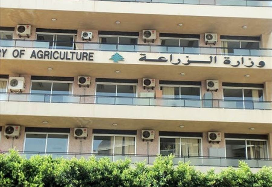 المساواة بين الجنسين... استراتيجية جديدة "في الزراعة" المساواة بين الجنسين... استراتيجية جديدة "في الزراعة"