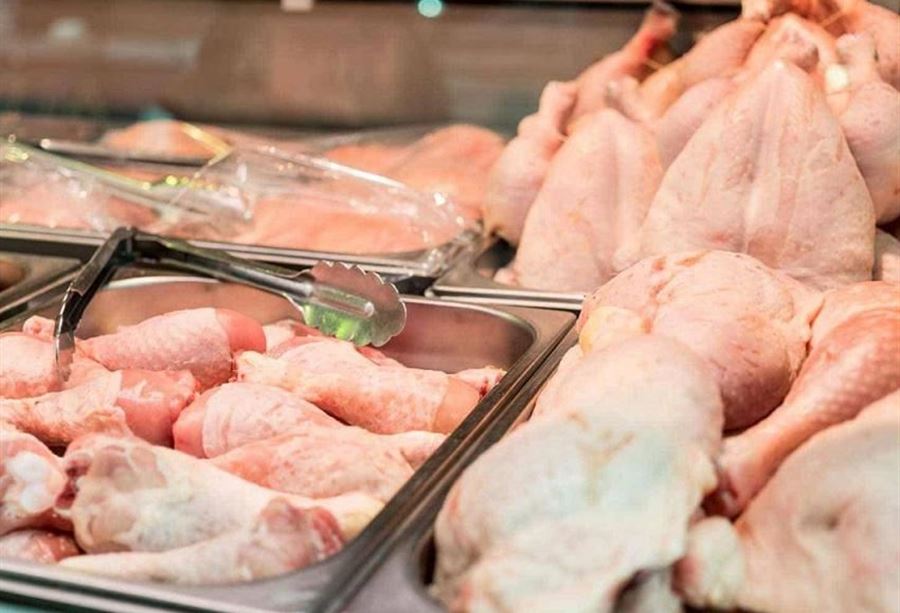 أسعار الدجاج مستقرة؟