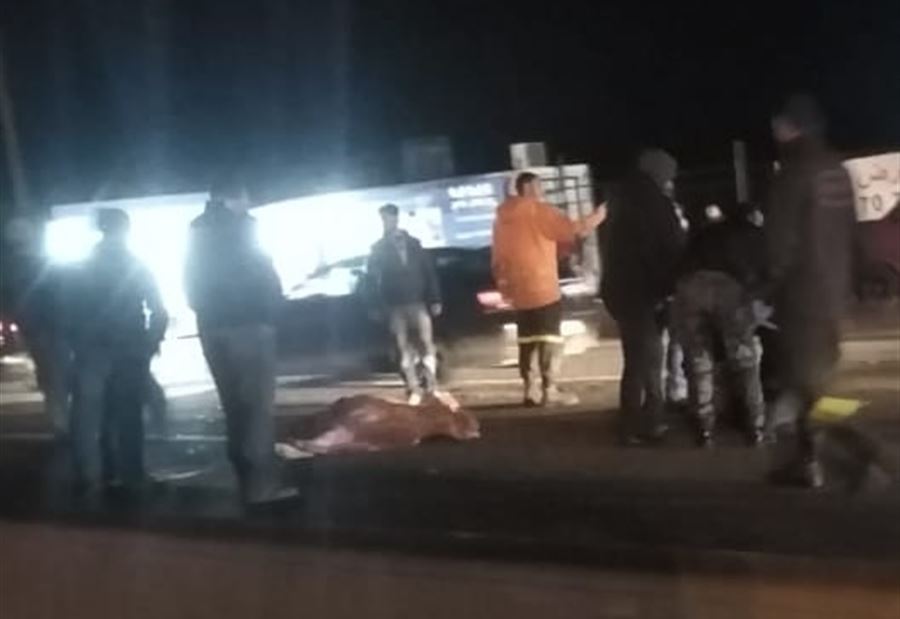 قتيلان... "كارثة جديدة على طرقات لبنان"