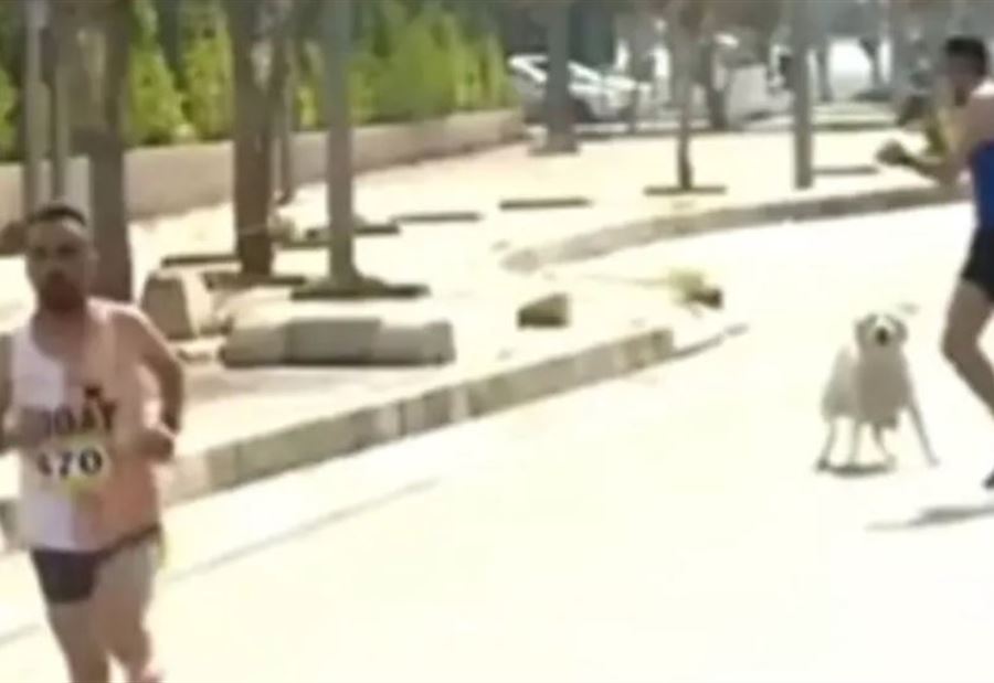 بالفيديو: كلب يلاحق المتسابقين بـ"ماراثون" العراق!