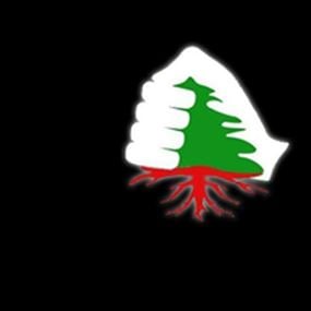 الأسعدي: لبنان تحول إلى صندوق بريد لتوزيع الرسائل 