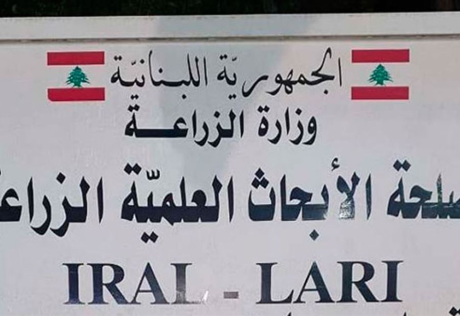 "Lari" تدعو المعنيين لمتابعة مرض الكلب للحد من انتشاره