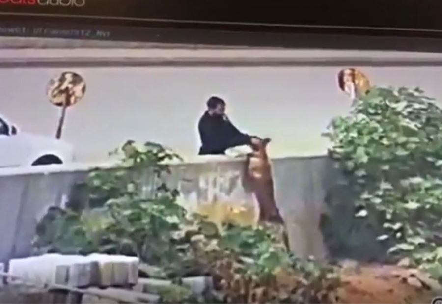 في وضح النهار... سرقة 