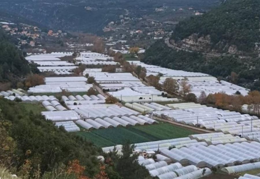 ما حقيقة وجود 10 آلاف نازحفي كفرحلده؟ ما حقيقة وجود 10 آلاف نازحفي كفرحلده؟