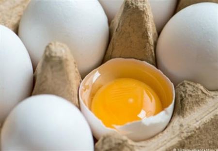 هكذا تحافظ على بيض طازج وصحي لمدة طويلة