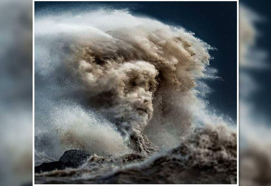 صورة تثير الخيال.. قرد أم كلب أم أرواح هائمة؟