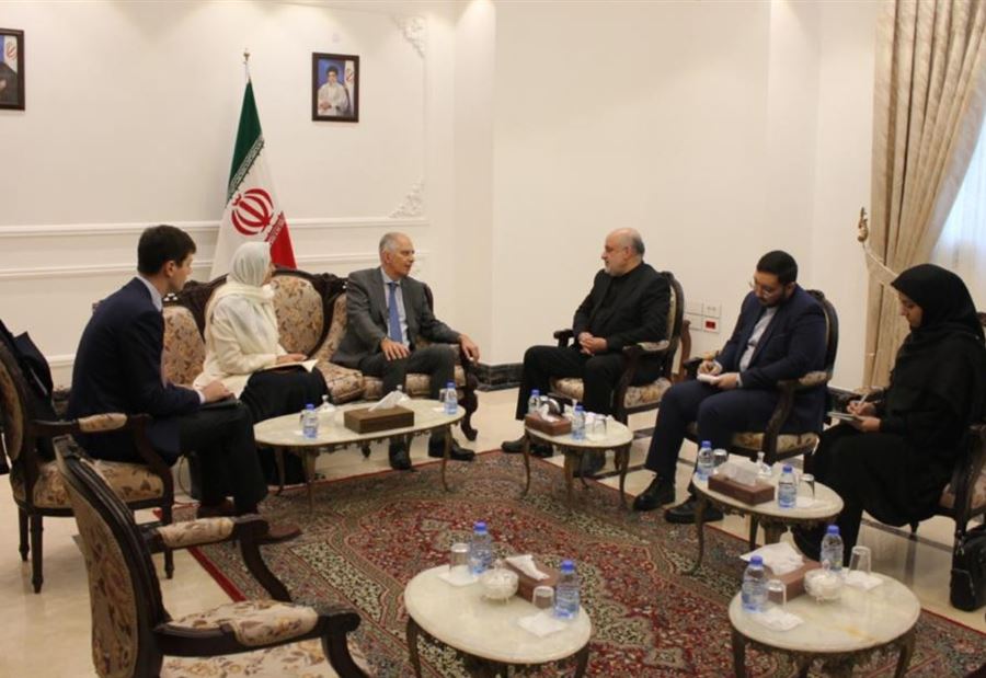 أماني للسفير الفرنسي: السياسات الداعمة لإسرائيل تضر بالمنطقة