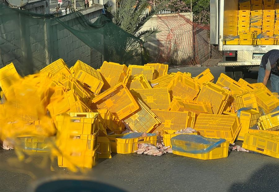 دواجن مذبوحة تملأ طريق صيدا (صورة)