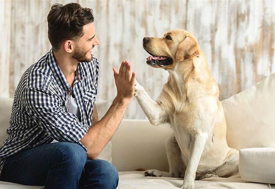 نوعٌ جديدٌ من "كورونا" ينتقل إلى البشر عن طريق الكلاب!