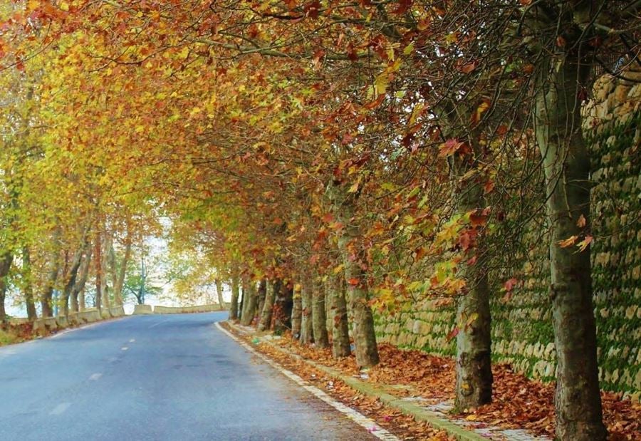 طقس خريفي بـ"امتياز" يُسيطر على لبنان