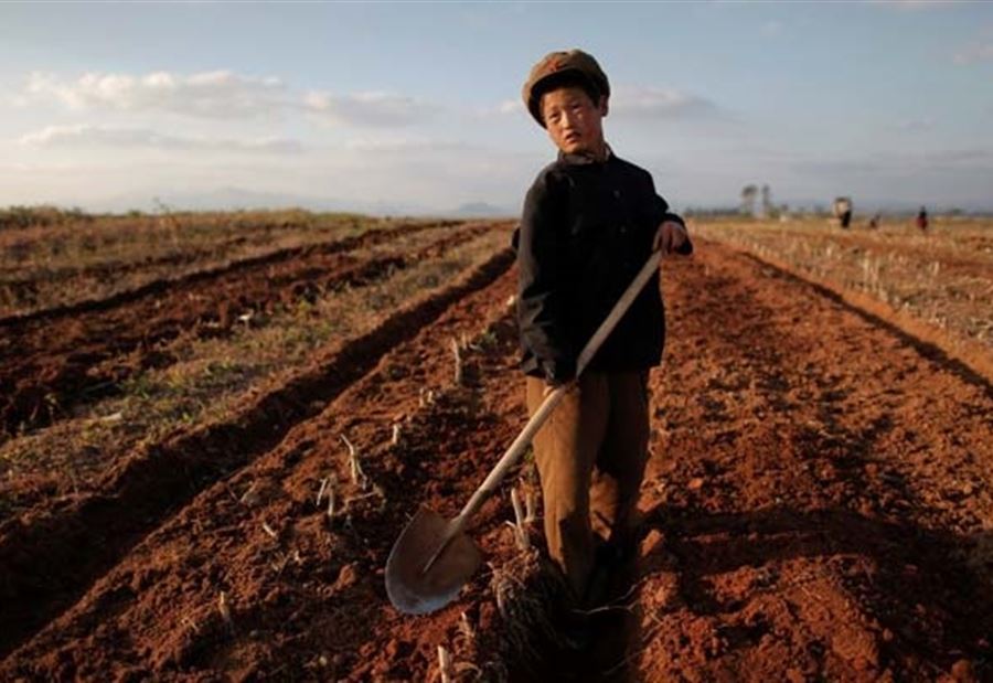 تحذير من  "منعطف خطير مميت" في كوريا الشمالية