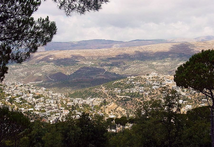 كمينٌ محكم لـ "قوى الأمن" يوقع بـِ سارق في حاصبيا!