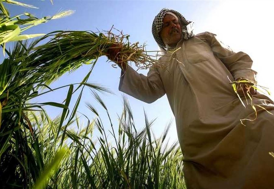 سابقةٌ هي الأولى من نوعها في العراق سابقةٌ هي الأولى من نوعها في العراق