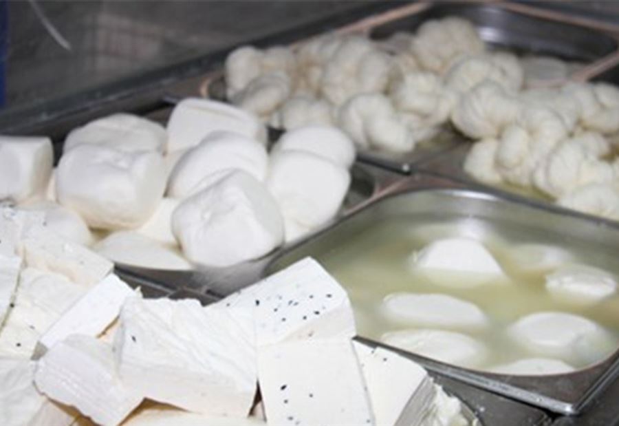 بسبب مخالفة... 7 محاضر ضبط شمالاً!