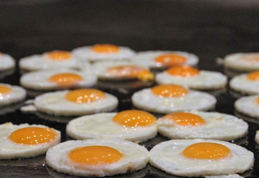 دراسة تحسم "مخاطر البيض"  دراسة تحسم "مخاطر البيض"