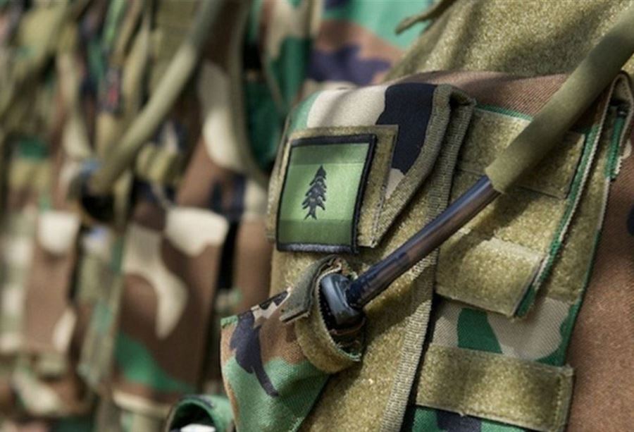 حادثةُ الفرزل... بيانٌ من الجيش