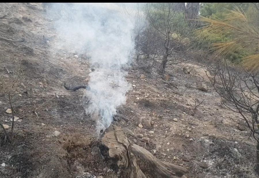 حريقُ فنيدق... طلبٌ من البلدية 