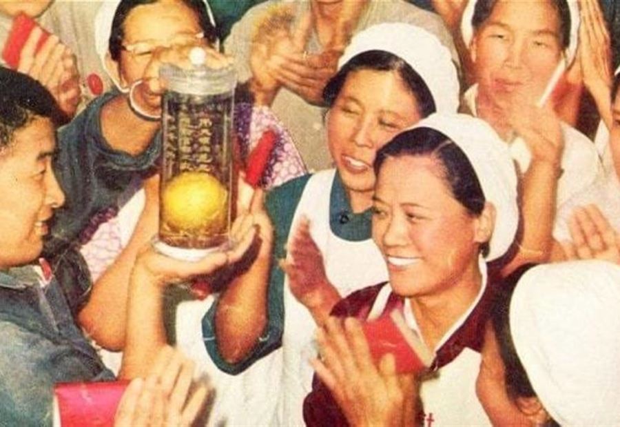 فاكهة استوائية غزت حياة الصينيين.. تعرفوا اليها