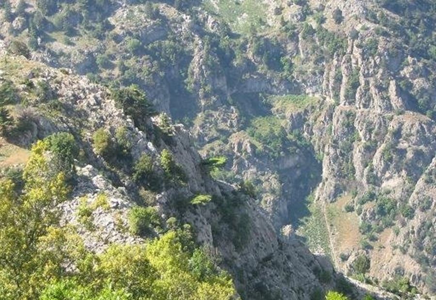 بعد وفاته في مشمش... غضب وبيان يوضح التفاصيل