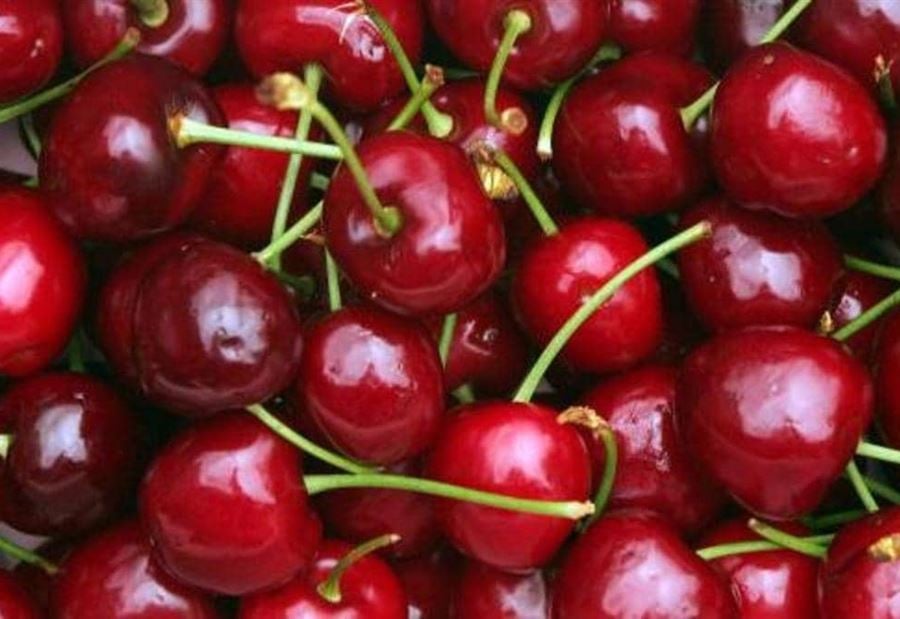 إن بلغت الخمسين.. لا تبتعد أبدا عن تلك الأطعمة إن بلغت الخمسين.. لا تبتعد أبدا عن تلك الأطعمة