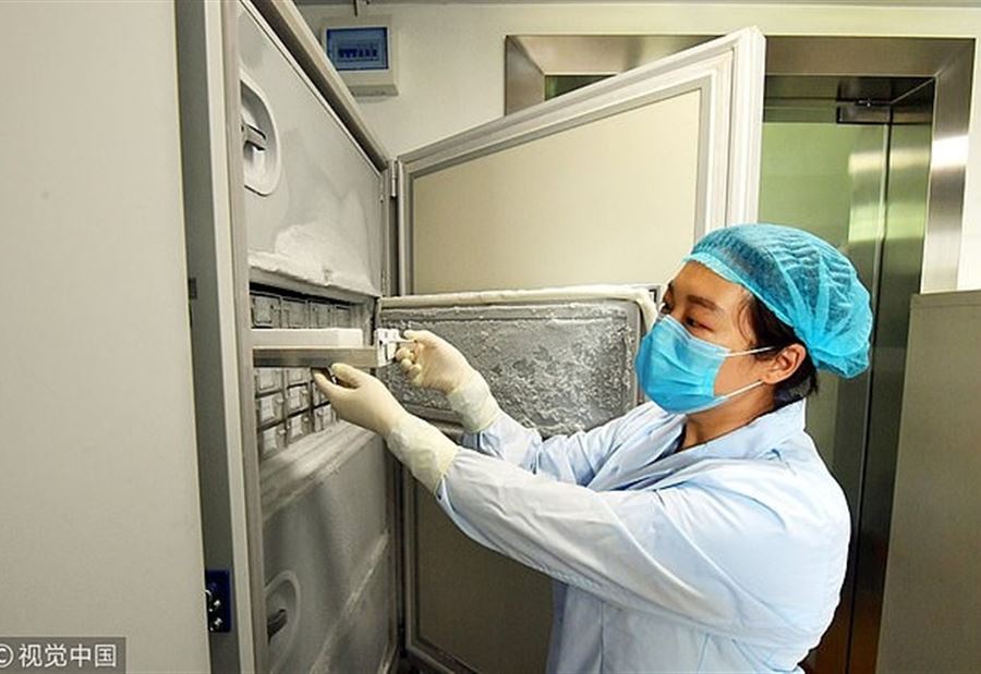 أدلةٌ جديدةٌ عن أصل فيروس كورونا أدلةٌ جديدةٌ عن أصل فيروس كورونا