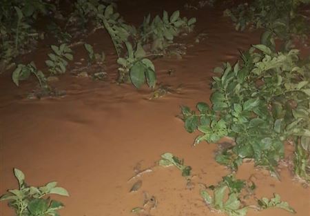 السيول تسببت بأضرار زراعية في البقاع الغربي
