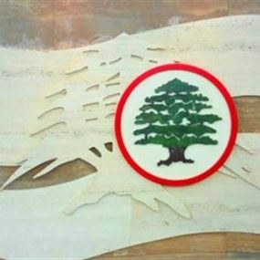 "القوات": هذا آخر عرض رسميّ تلقيناه