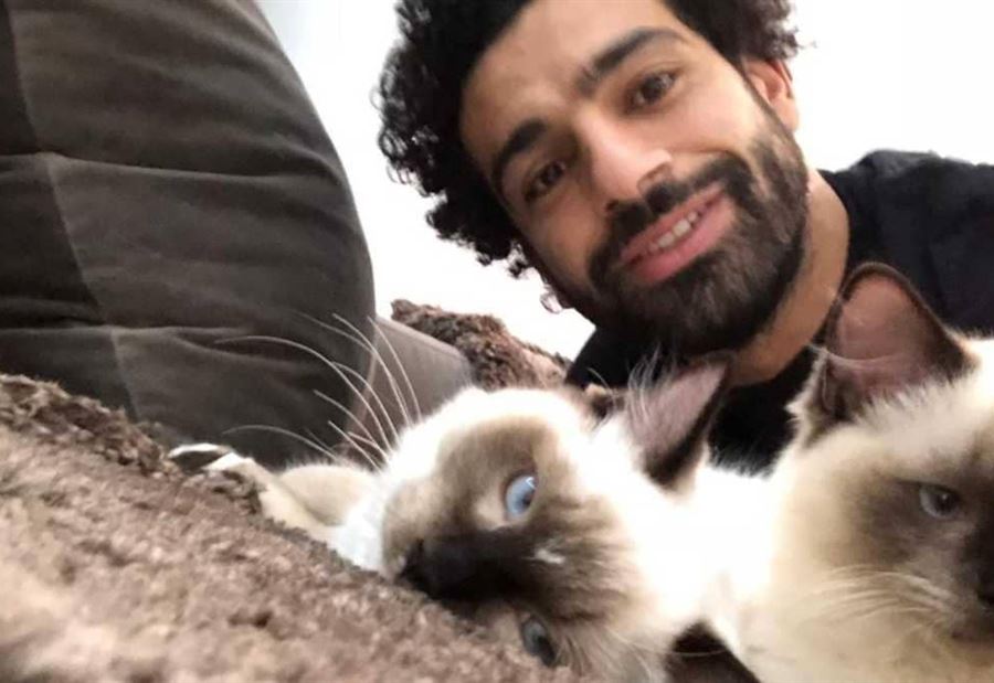 "الله عليك يا فخر العرب".. تغريدات بالآلاف وصلاح "الضحية" "الله عليك يا فخر العرب".. تغريدات بالآلاف وصلاح "الضحية"