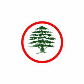 القوات : مبدأ الميثاقية يتعرض لعملية إلغاء ممنهجة؟