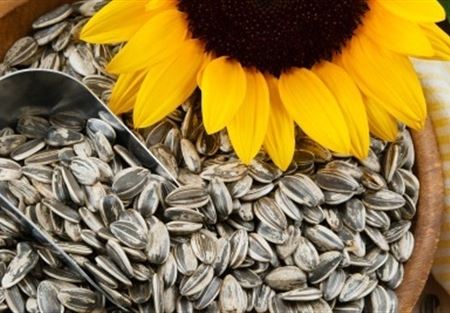 5 أطعمة لها مفعول سحري في إنقاص الوزن