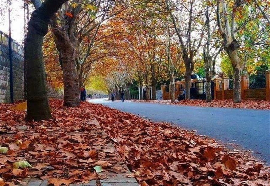 لبنان يتأثرُ بمنخفضٍ جوي... رياح ناشطة وأمطار في الأيام المقبلة