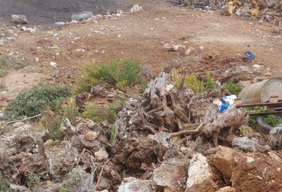 بالفيديو: بقايا جسم مشبوه في الضنية تثير القلق