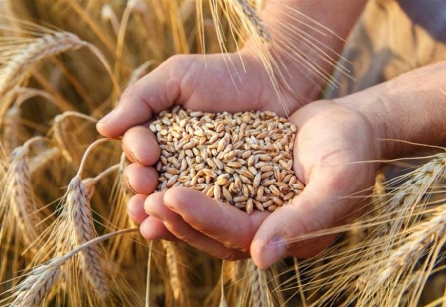 ما المرتبة التي يحتلّها لبنان ضمن الدول العربية الأكثر هدرا للطعام عام 2023