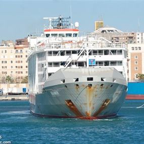 ملف الباخرة المحملة بالأبقار... تابع