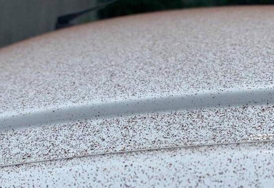 حدث في سويسرا بالفعل.. السماء تمطر شوكولاتة!
