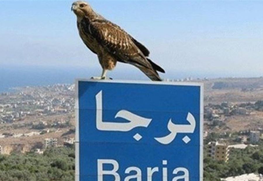 برجا... 8 حالات إيجابية جديدة برجا... 8 حالات إيجابية جديدة