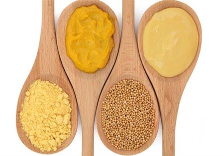 اليكم فوائد الخردل الرهيبة !