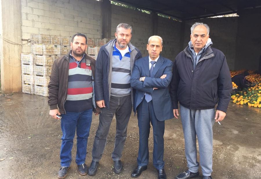 خير جال على بساتين الحمضيات المتضررة من العاصفة 