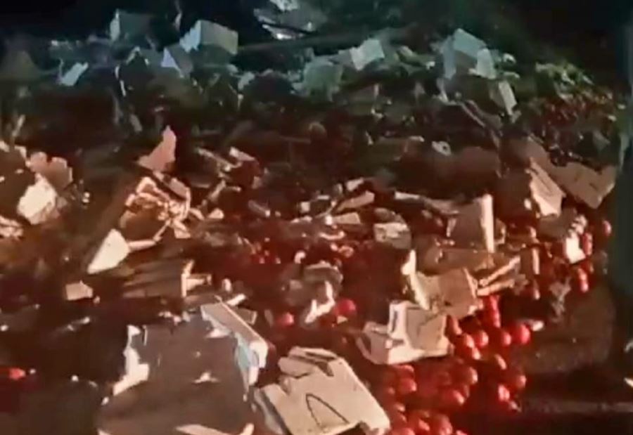 بعد انقلاب الشاحنة... بندورة مهرّبة "تفترش" طريق عكار (فيديو)