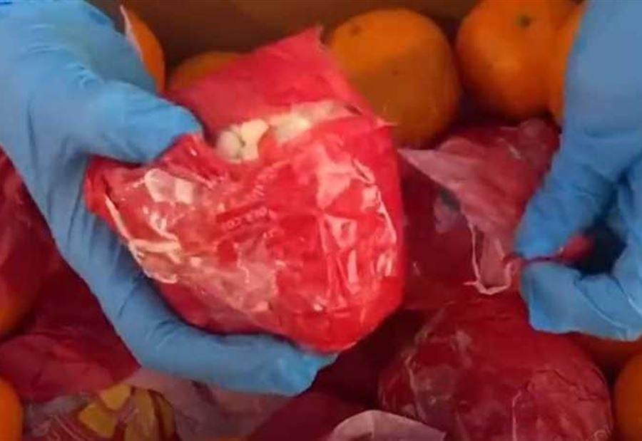ضبط كمية هائلة من المخدرات في شحنة برتقال بالسعودية (فيديو)