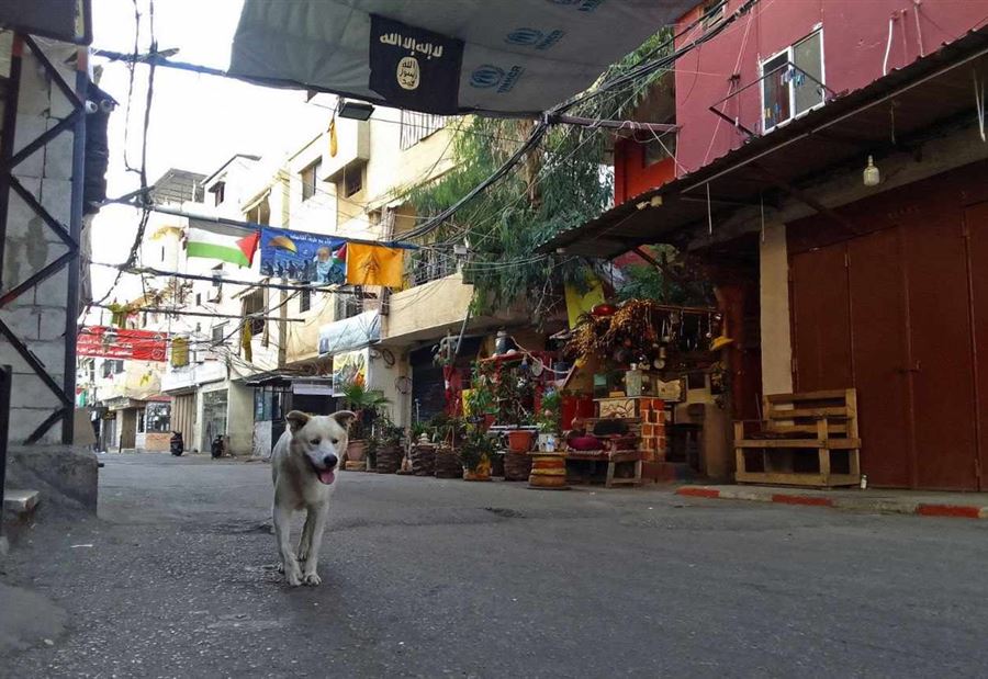 بعد أيامٍ دامية... "هدوء تام" في عين الحلوة!