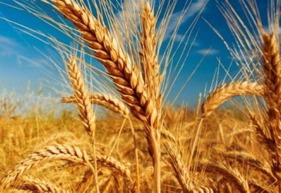 بلدٌ عربي سيواجه أسوأ مجاعة عام 2020