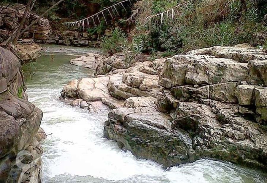 نُفوق الأسماك في نهر بيصور... وزيرُ الزراعة يَتحرك